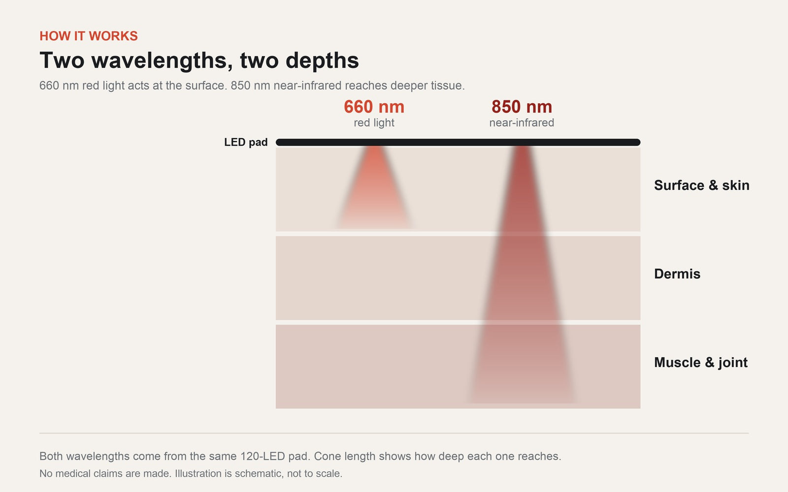Diagram: 660 nm red light at the surface, 850 nm near-infrared deeper